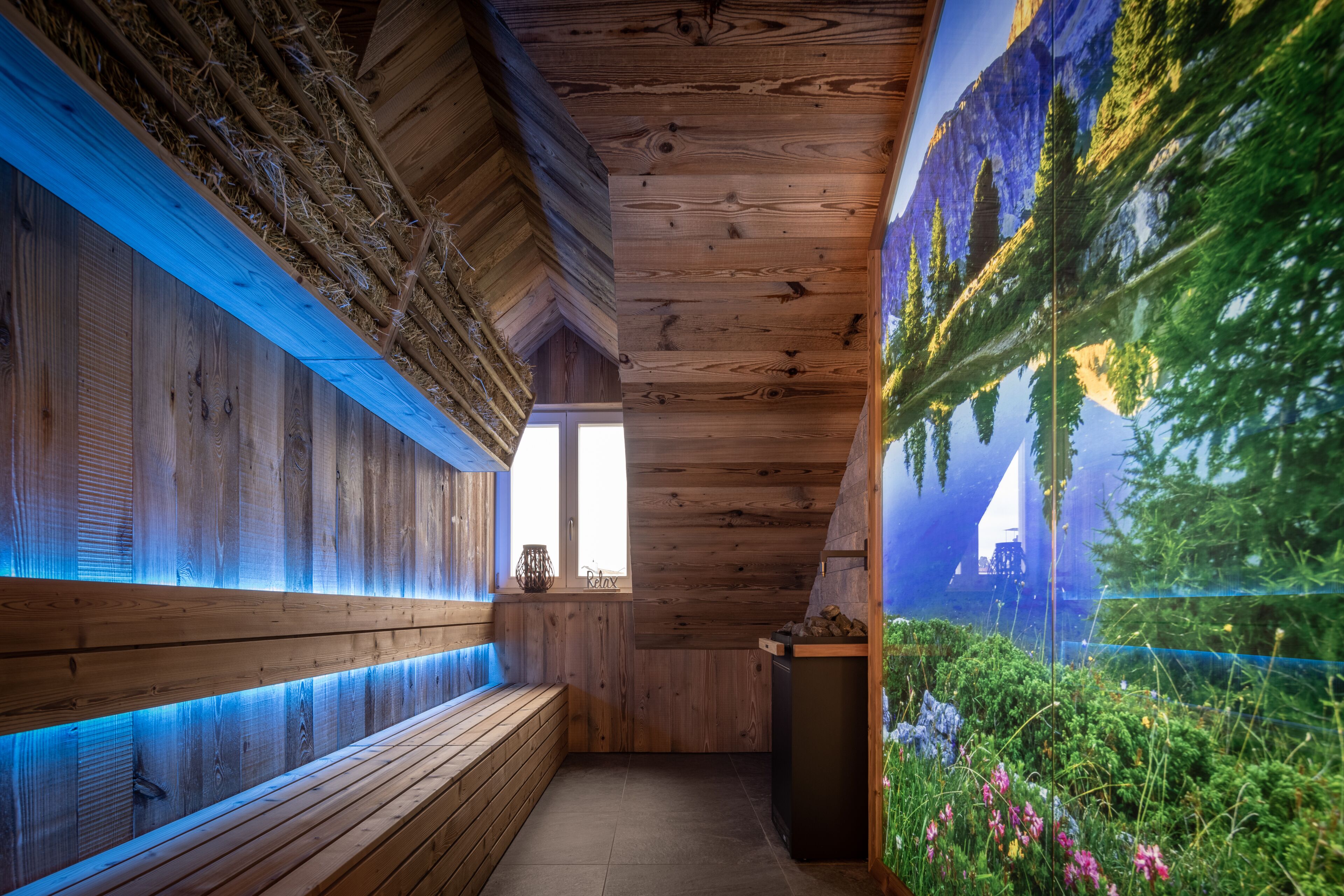 A wooden interior with a bench, a mural of trees, and a window.