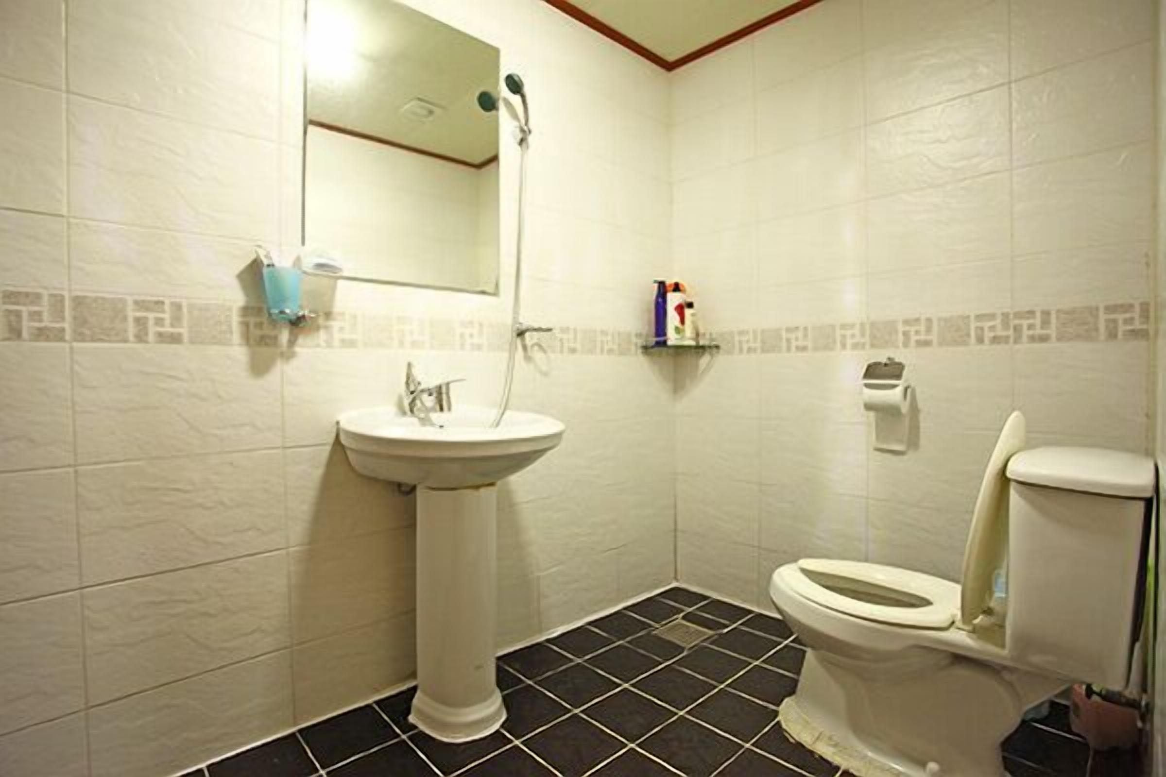 A bathroom with a pedestal sink, a toilet, a shower, and a mirror.