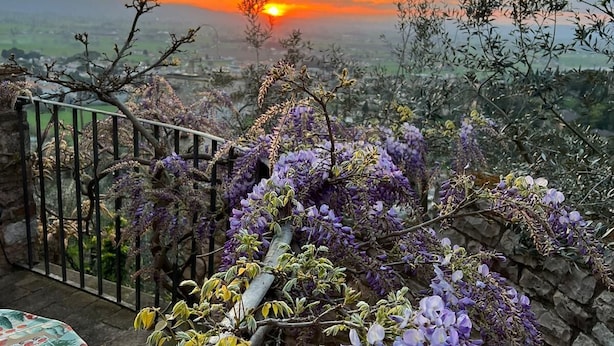 Une vue sur le coucher de soleil depuis un balcon orné de glycines violettes et d’un mur de pierre.