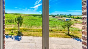 Blick durch ein Fenster auf eine Ziegelwand, der einen Weinberg und einen strahlend blauen Himmel zeigt.