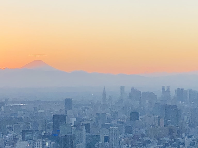 Henn na Hotel Tokyo Hamamatsucho Reviews, Deals & Photos 2025