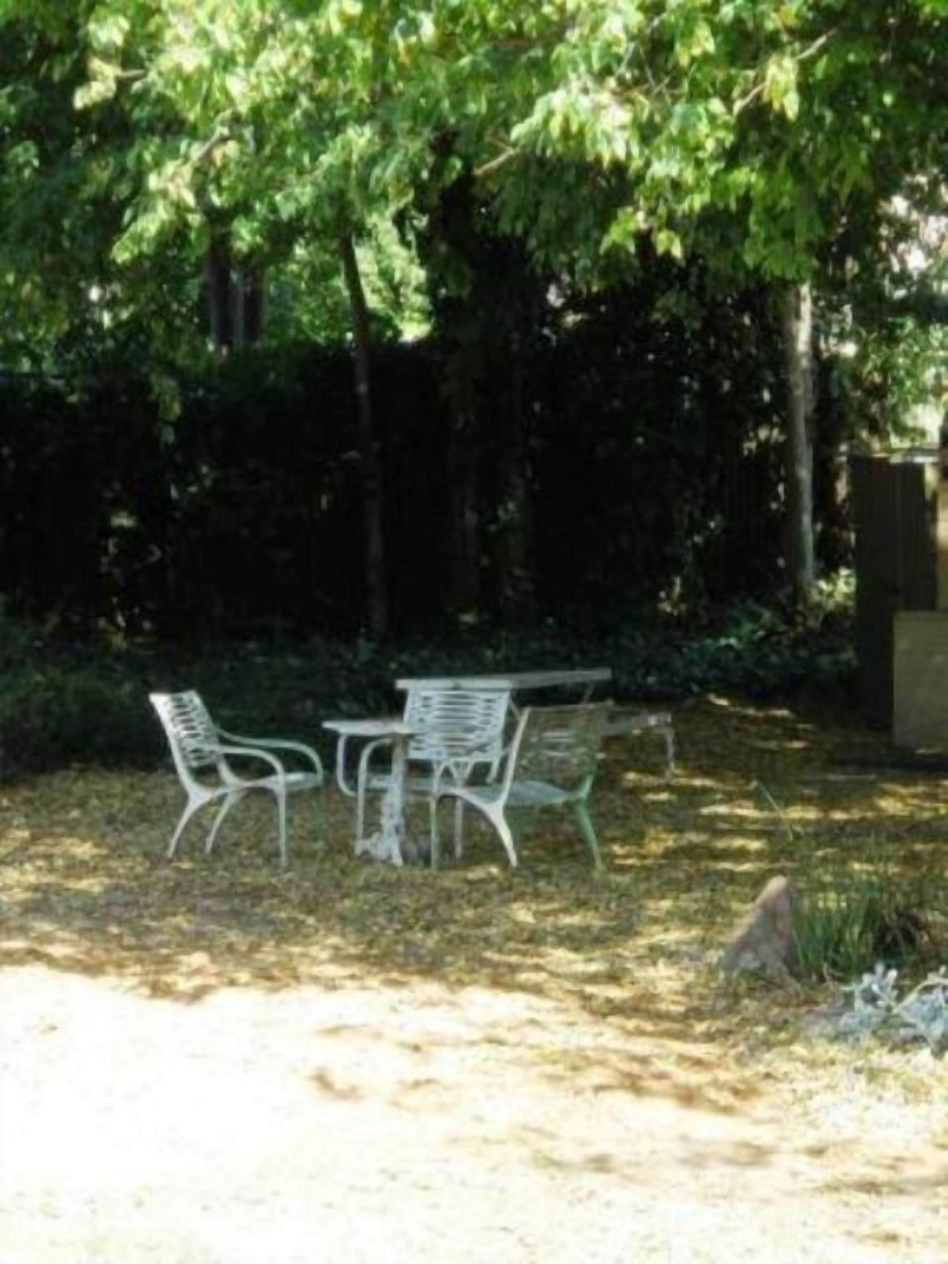 A patio with two white metal chairs and a small table, surrounded by dense green foliage and trees.
