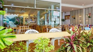 A restaurant with indoor seating, a glass wall, and potted plants. - Blue House Beach (Pattaya)