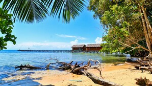 A beach with a wooden structure, clear blue water, and a pier in the background. - HamuEco Dive Resort Raja Ampat (Waisai)