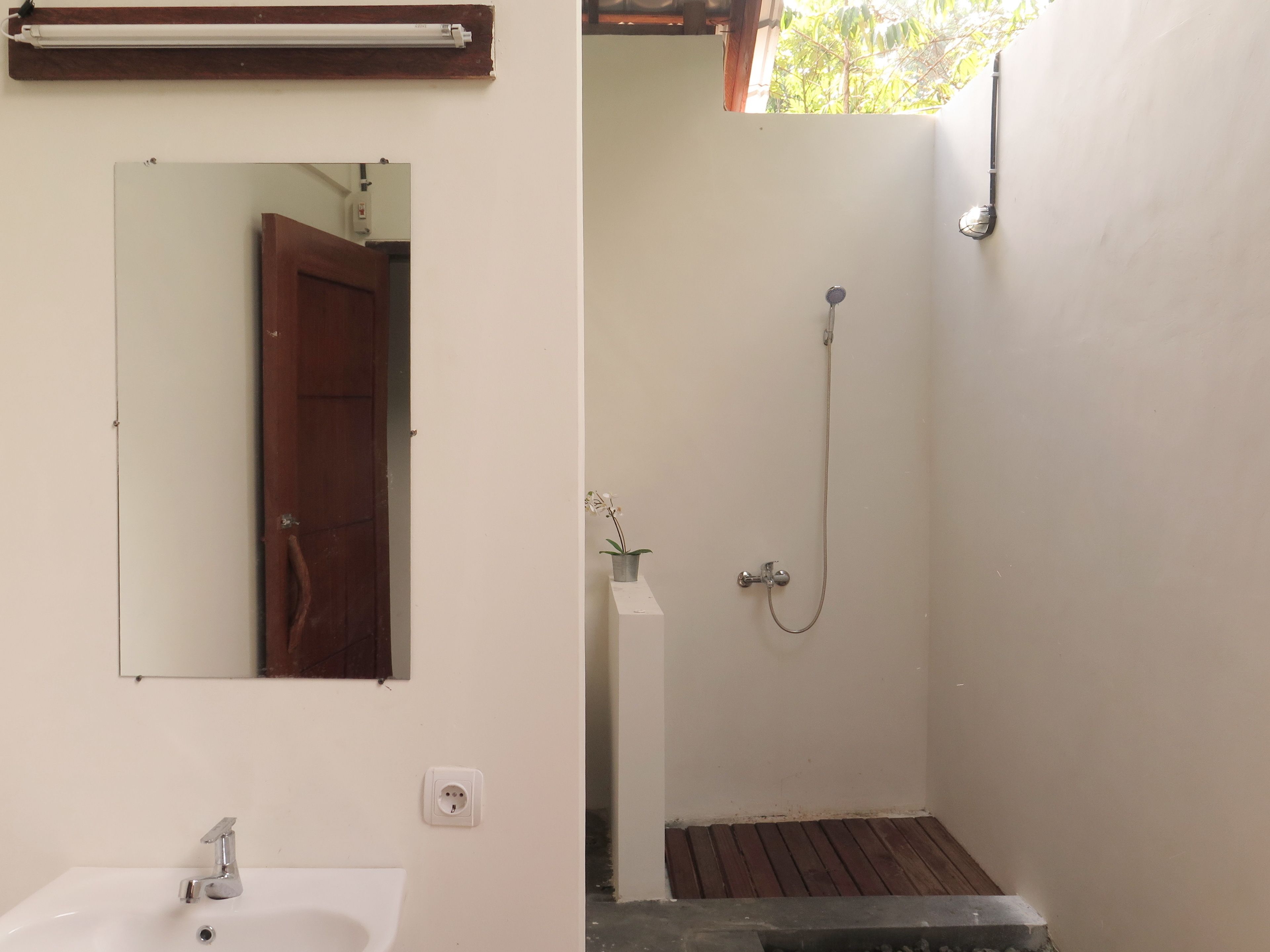 A bathroom with a sink, mirror, shower, and a potted plant.