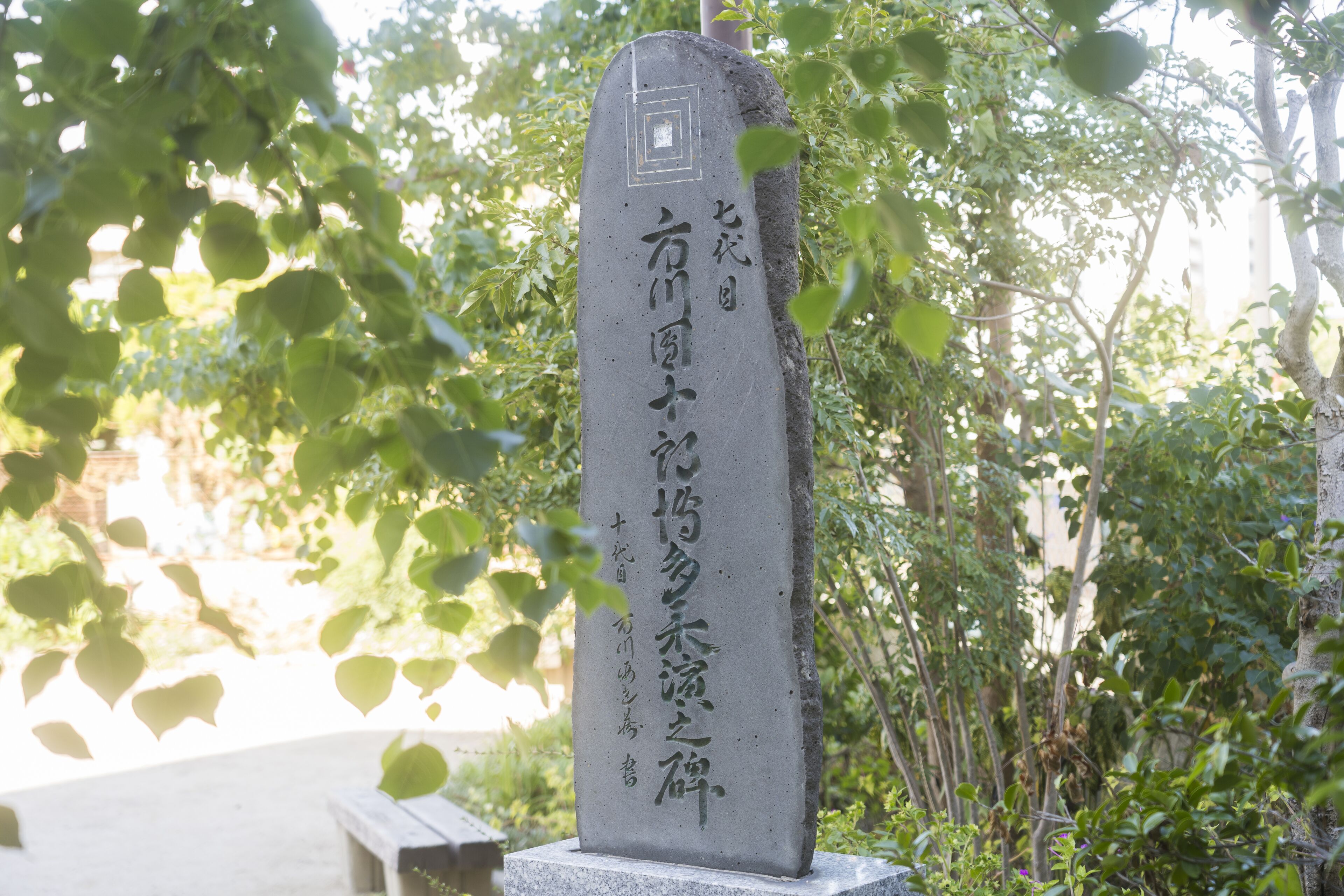 city view from property