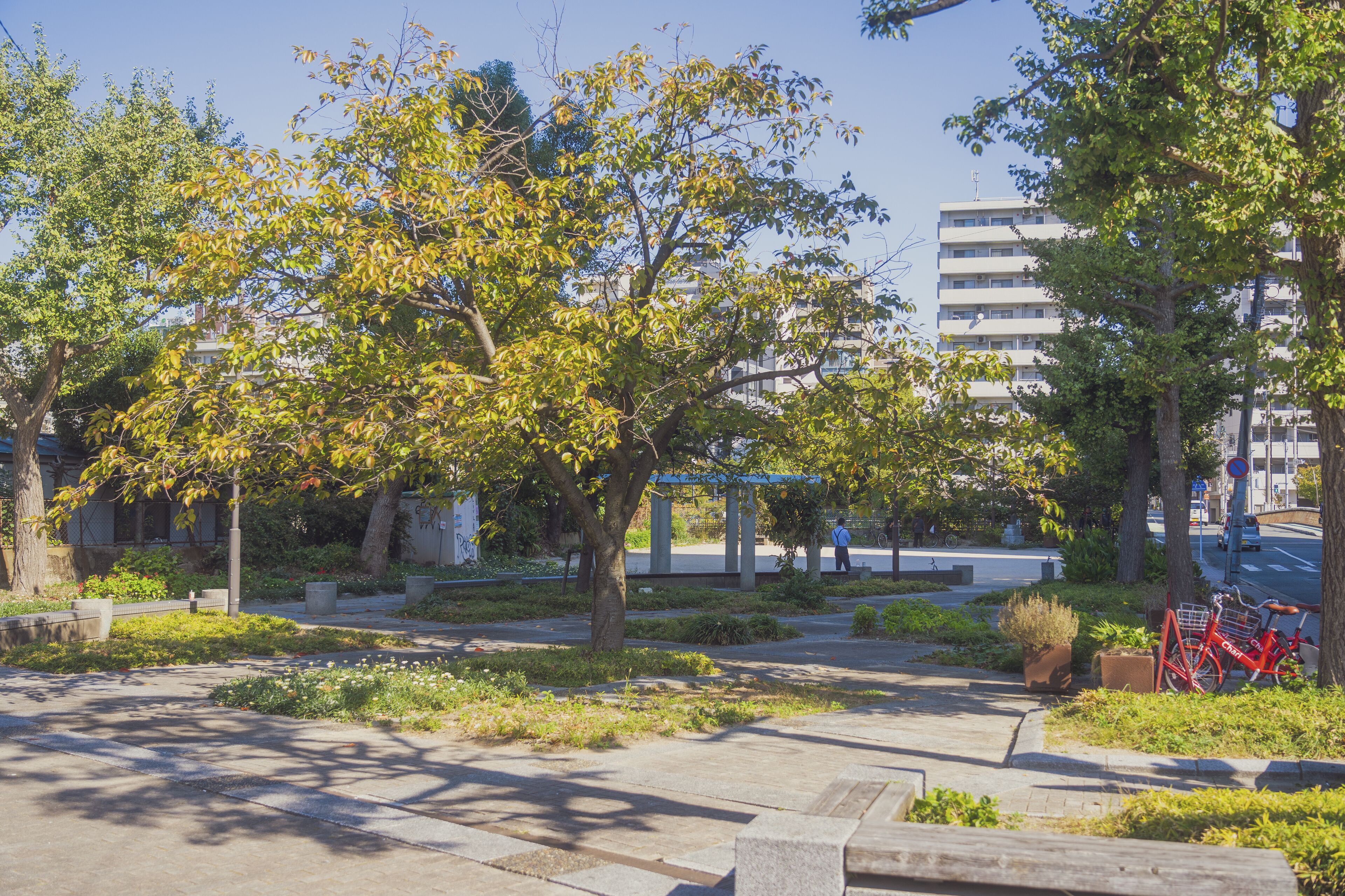 city view from property