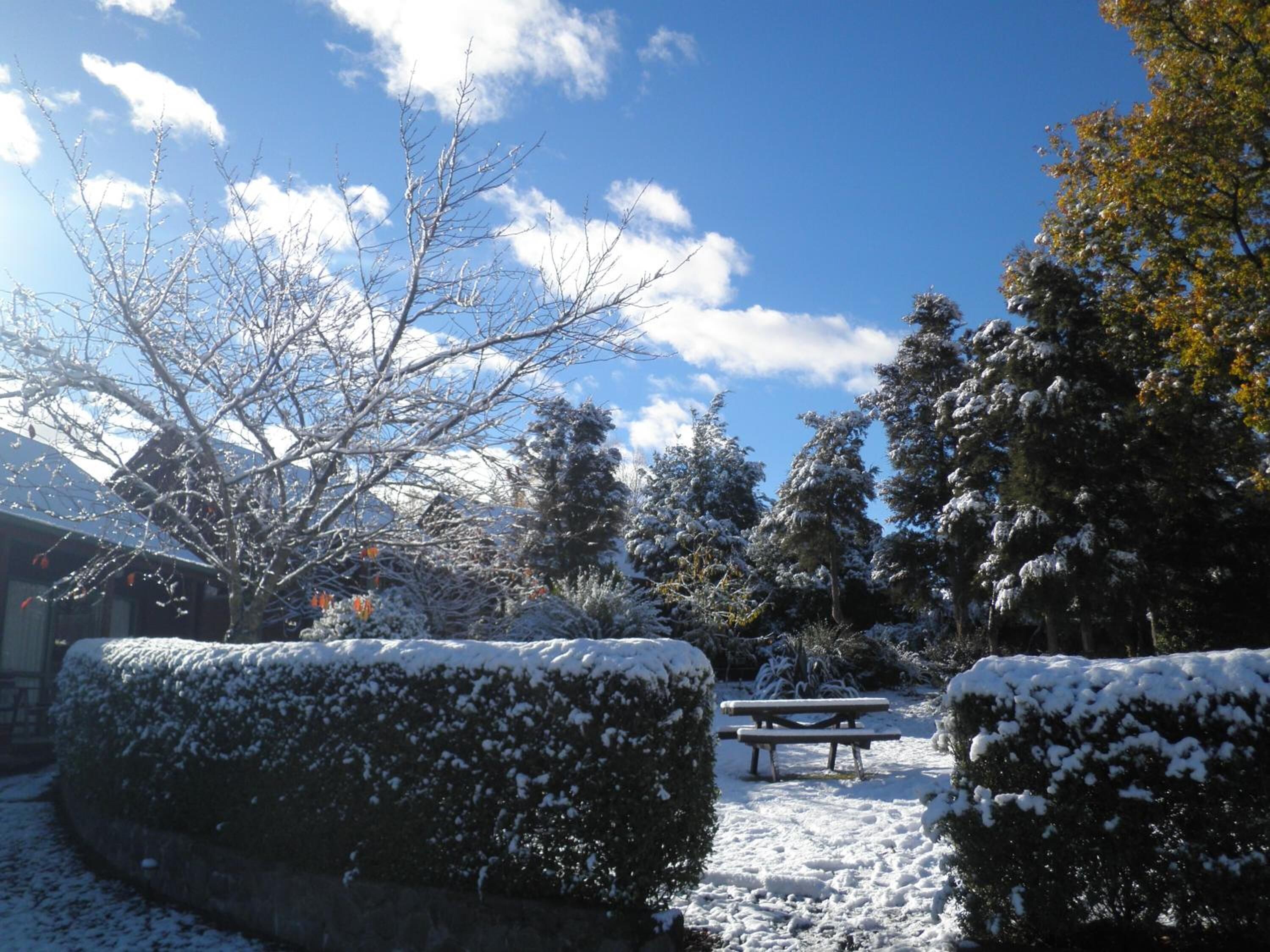 Terrein van de accommodatie