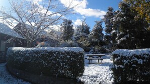 A snow-covered garden with a bench and hedges. - Forest Peak Motel (Hanmer Springs)