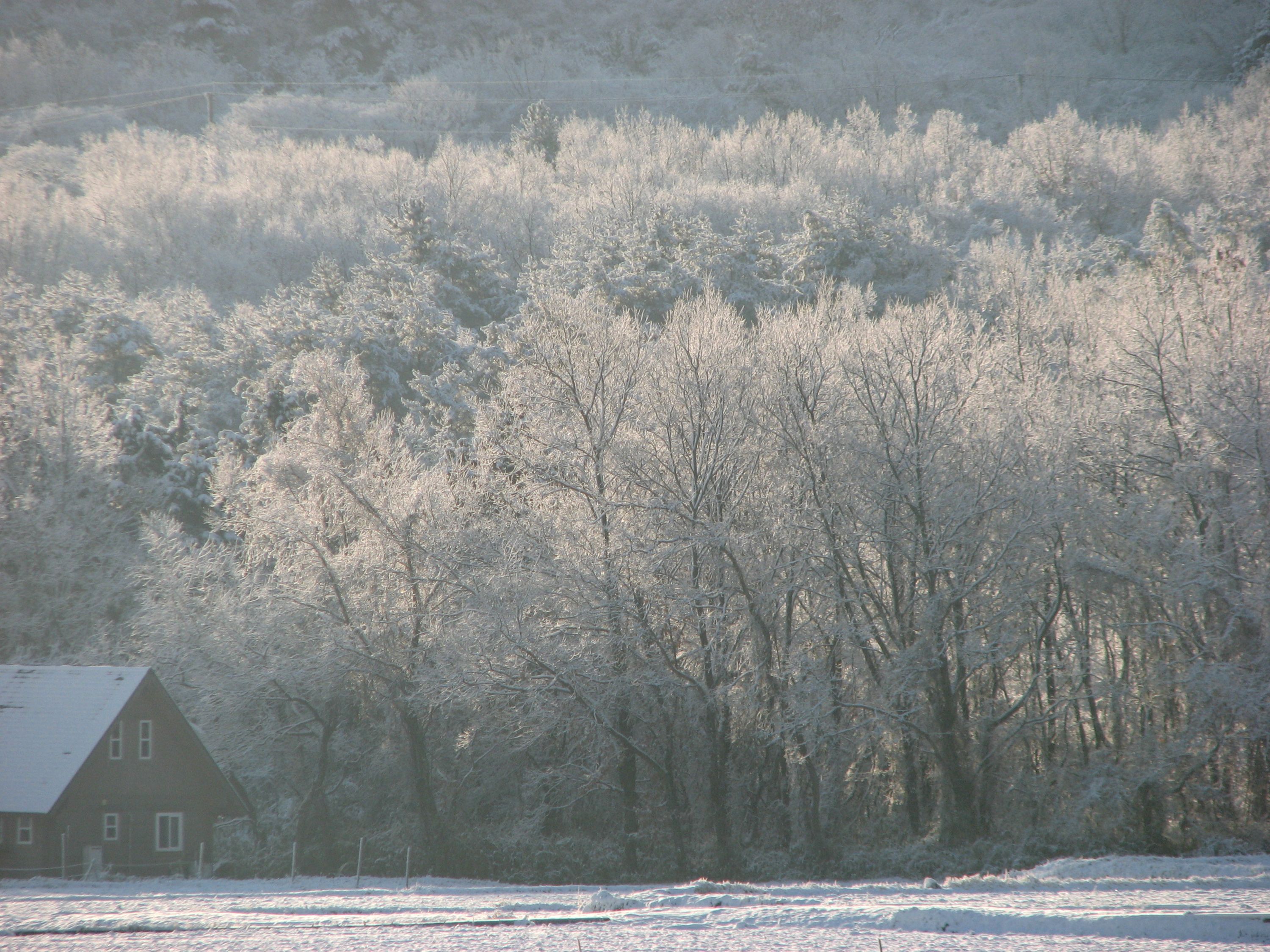A house surrounded by a snowy landscape with trees.