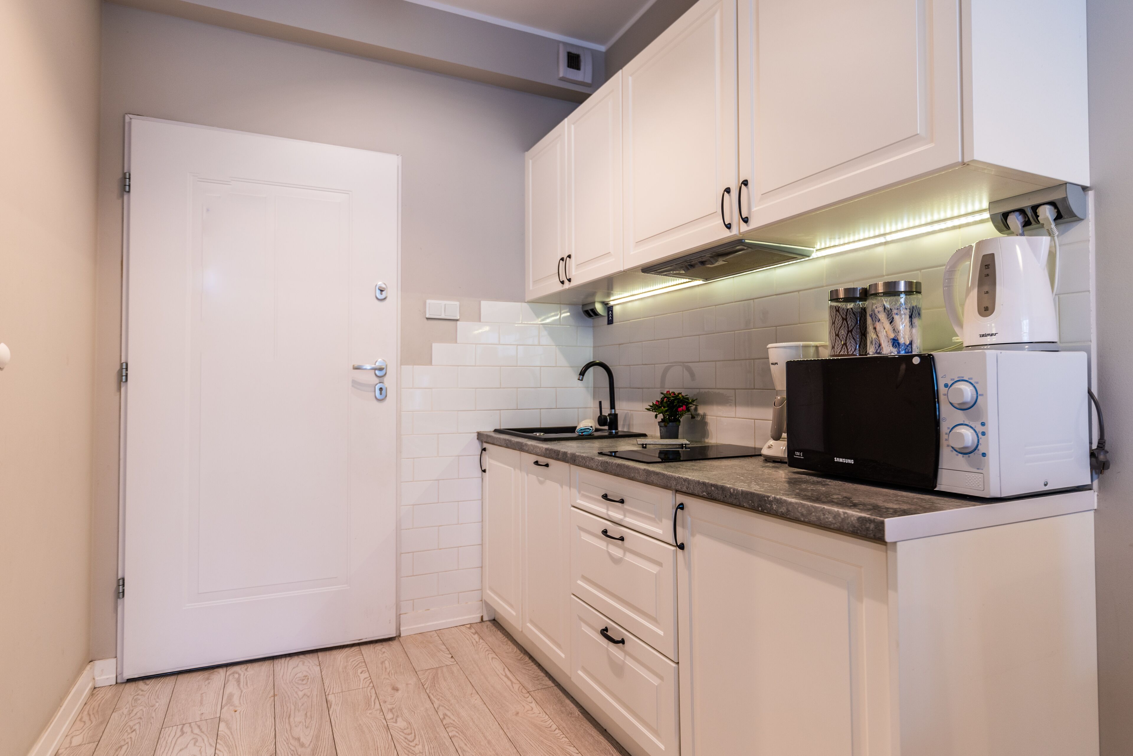 classic apartment (f2: 28a) | private kitchen | fridge, microwave, stovetop, dishwasher