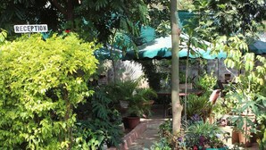 Zona de recepción con un letrero, rodeada de exuberante vegetación y plantas en macetas.