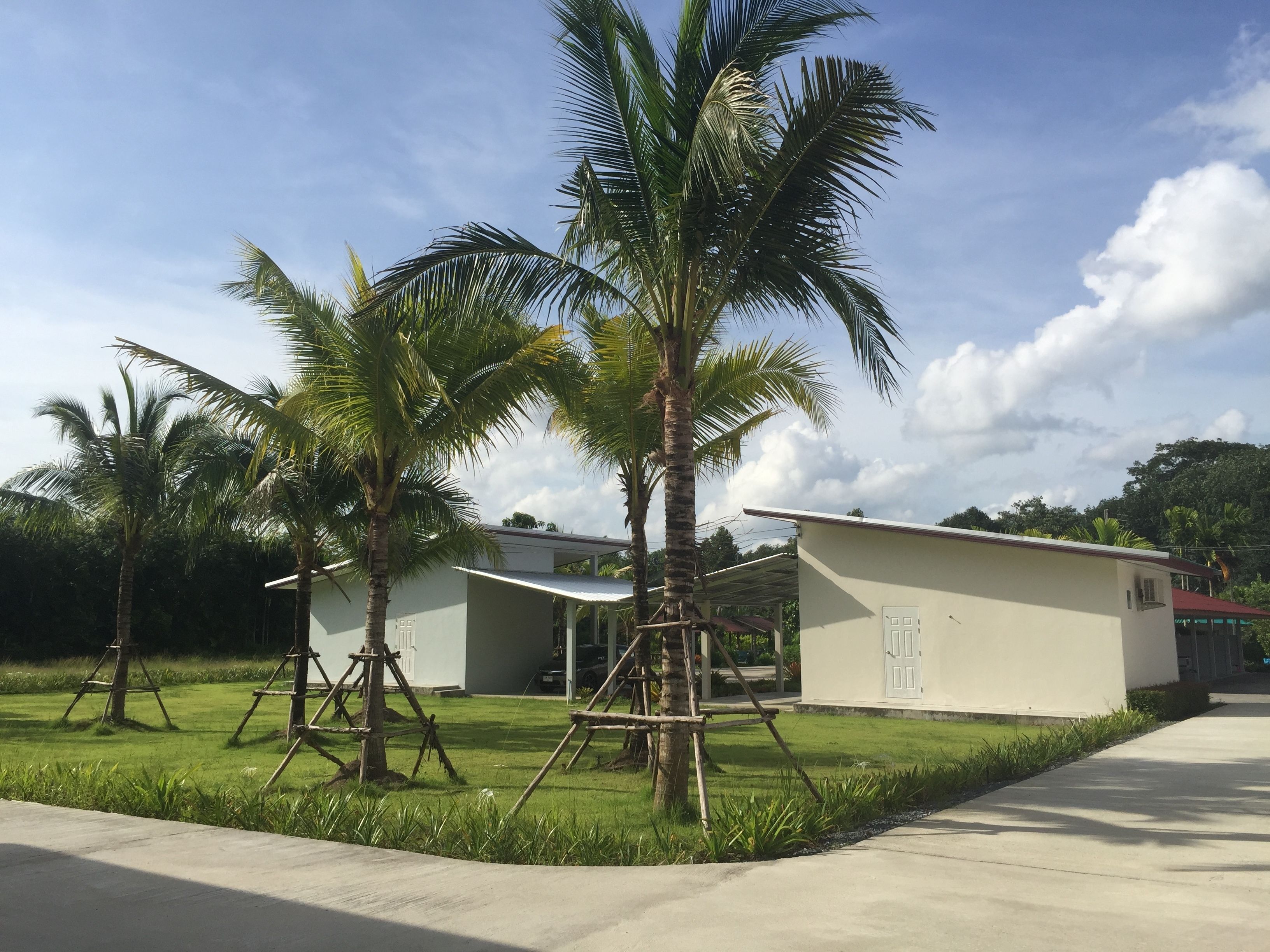 A building with a flat roof and a door, surrounded by a well-maintained lawn and palm trees.