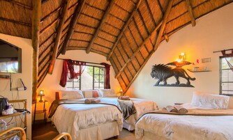 Televisión 52 cm con canales de televisión por cable, juguetes