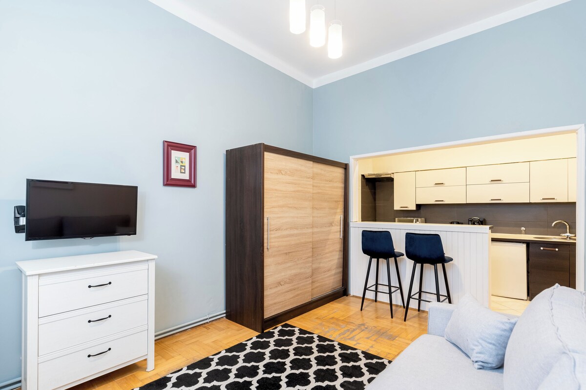 Un espacio habitable compacto con kitchenette, un televisor de pantalla plana montado en la pared, un armario de madera, un sofá y un tapete estampado.