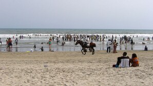 A beach with a horse and people. - NAP APARTMENT HOTEL (Accra)