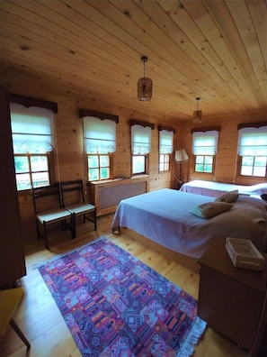 View from room - Babalik Dogal Yasam Konagi (Findikli)