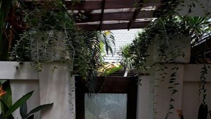 A covered entrance with a glass door, surrounded by various plants and a concrete pathway. - Intan Legian Seminyak Villa (Denpasar)