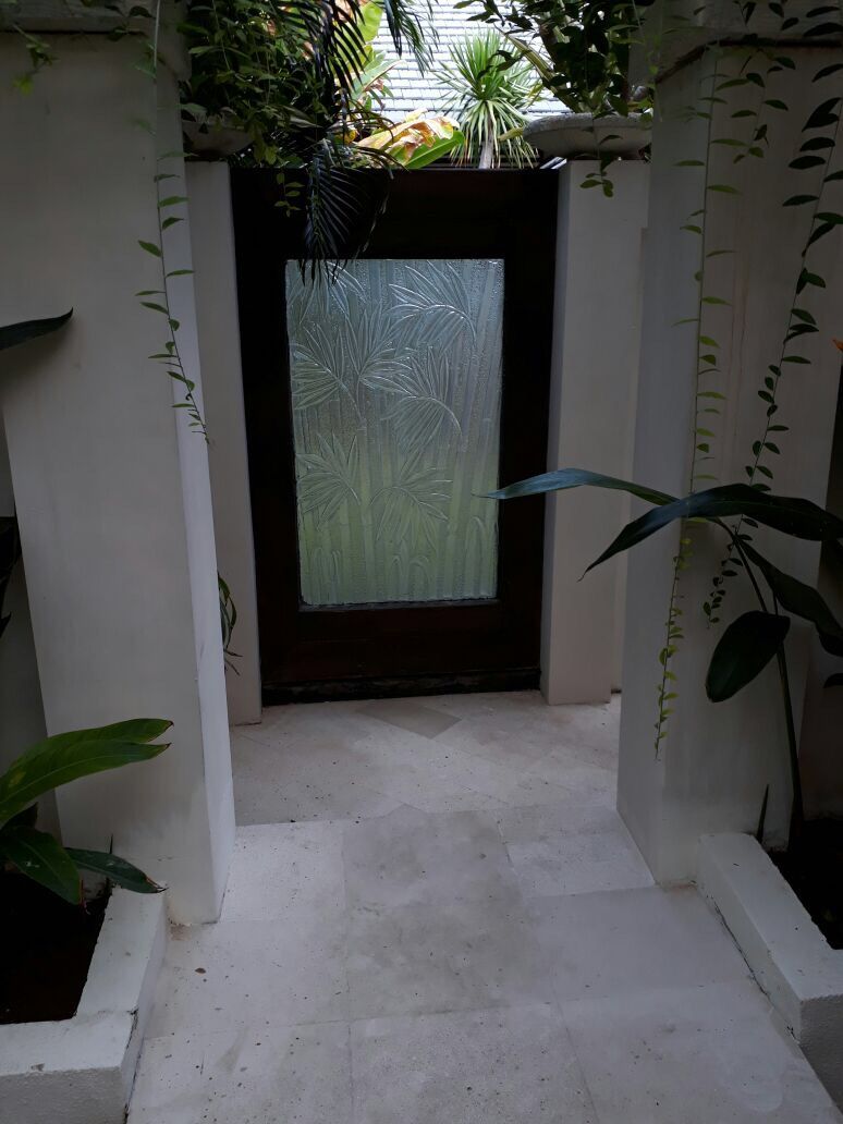 A narrow pathway leading to a door with frosted glass, flanked by white walls and potted plants.