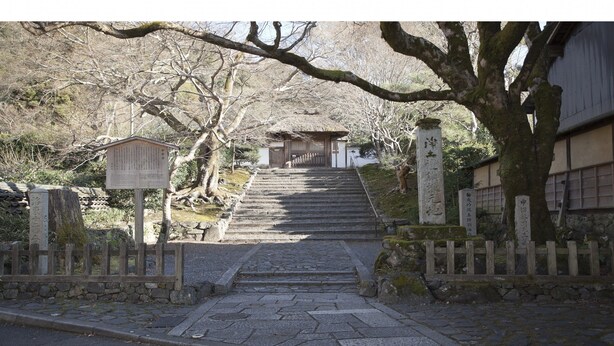 A stone staircase leading to a traditional Japanese gate, surrounded by trees and a stone wall. - Guest House Aoi Nakamoto (Kyoto)