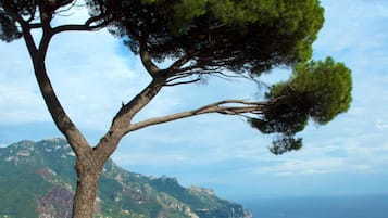 Vista costera con un árbol destacado y dos edificios con cúpulas, probablemente un lugar histórico.