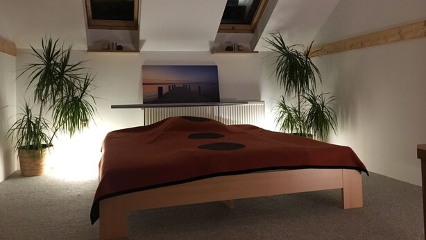 Een slaapkamer met een bed, twee potplanten, een schilderij en een plafondlamp.