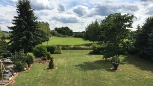 Een verzorgd gazon met verschillende bomen en struiken, een kleine vijver en een pad van stenen.