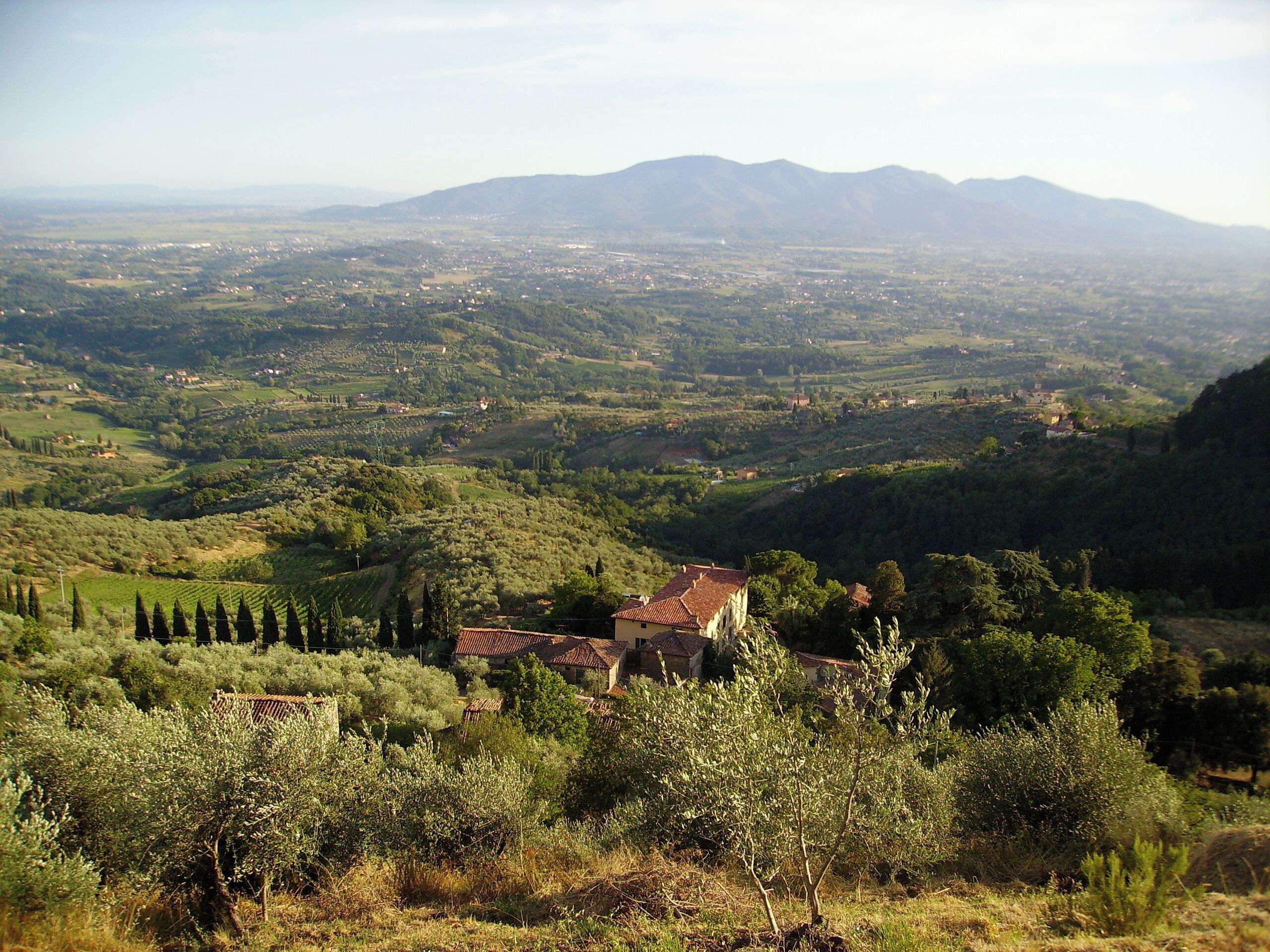 Photo - Fattoria Gambaro di Petrognano