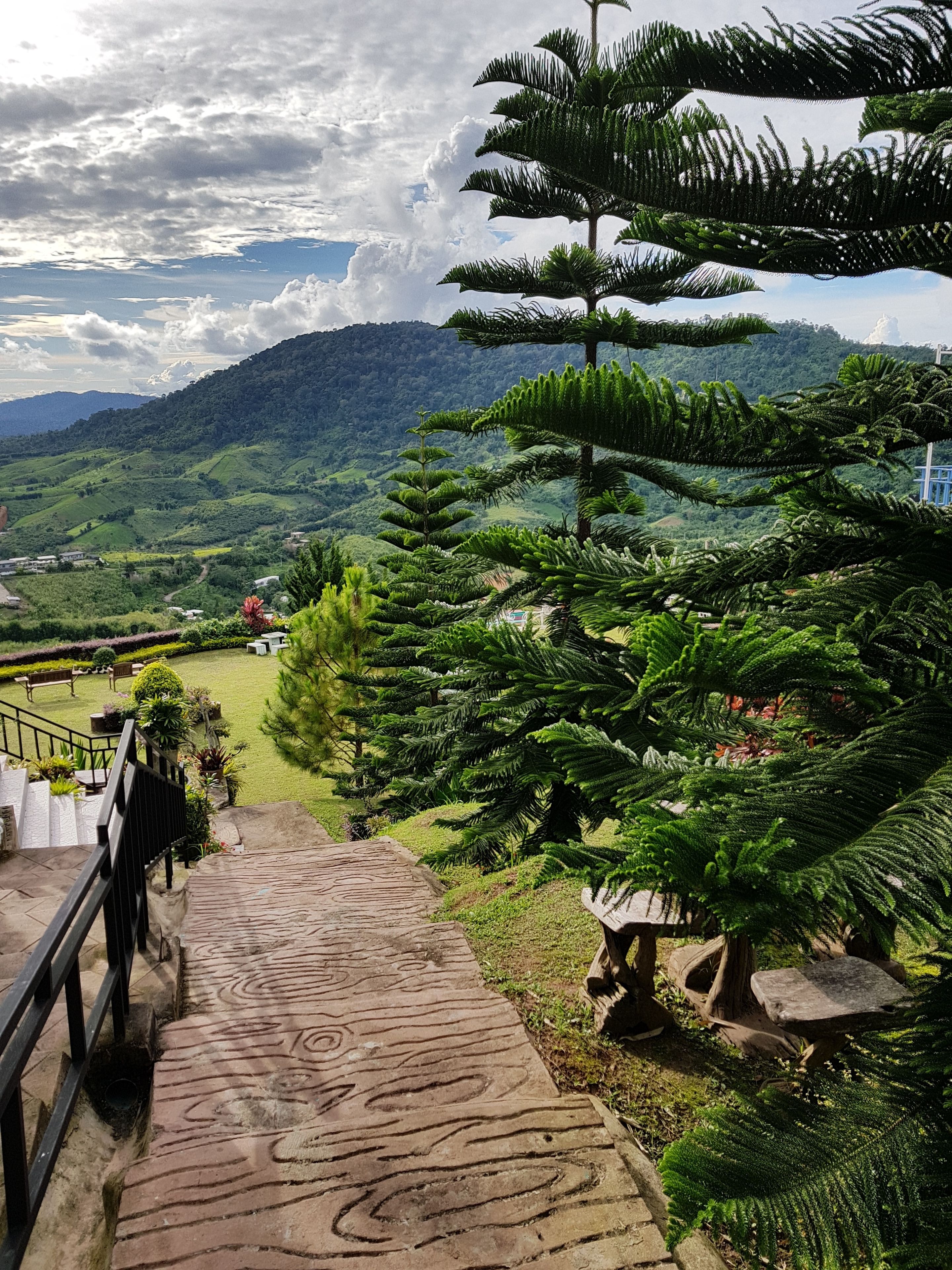Vista desde la propiedad