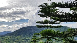 Un sendero que lleva a una vista panorámica con abundante vegetación y una cadena montañosa distante.