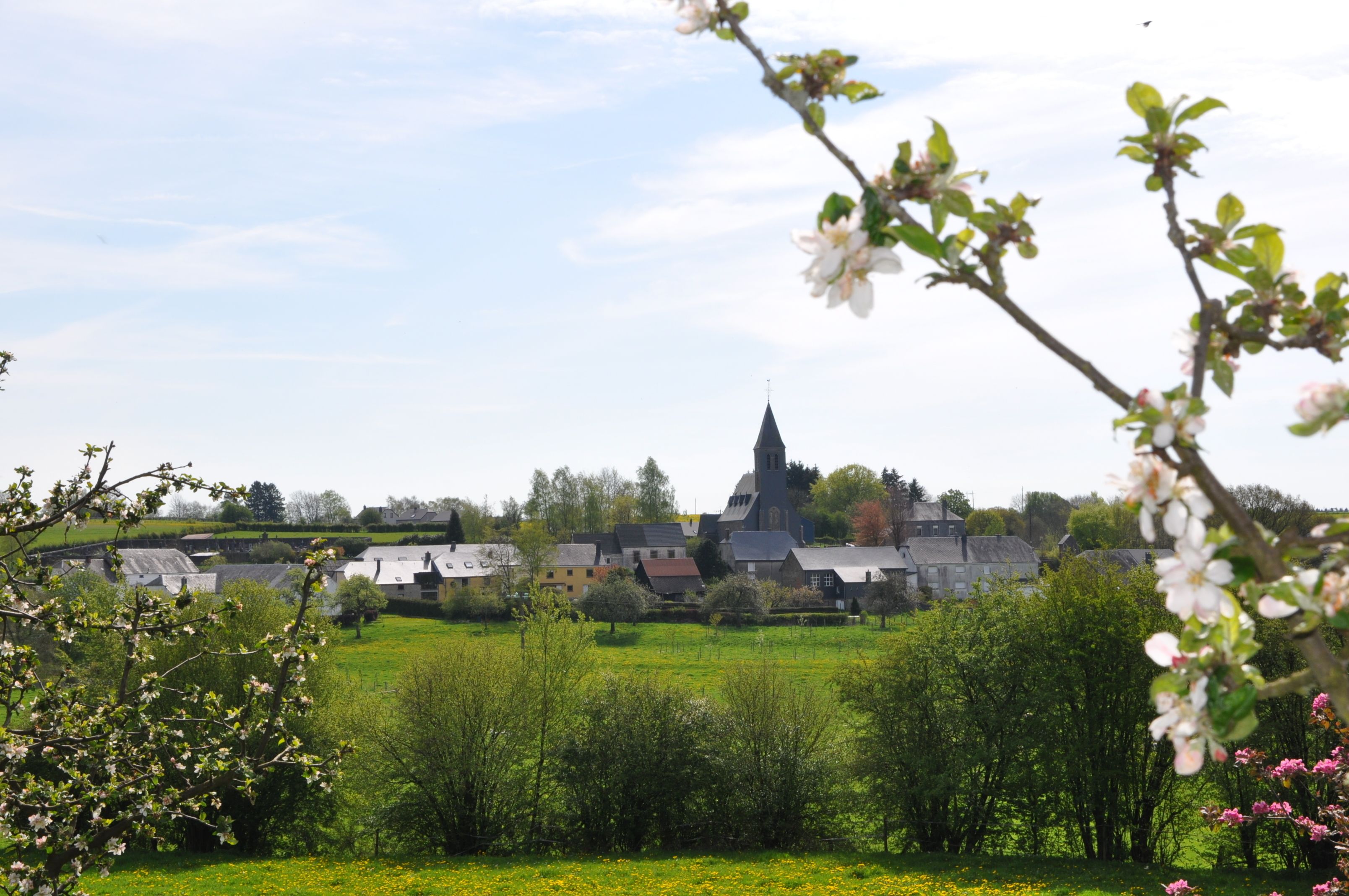 Ein Dorf mit einer markanten Kirche und Wohngebäuden.