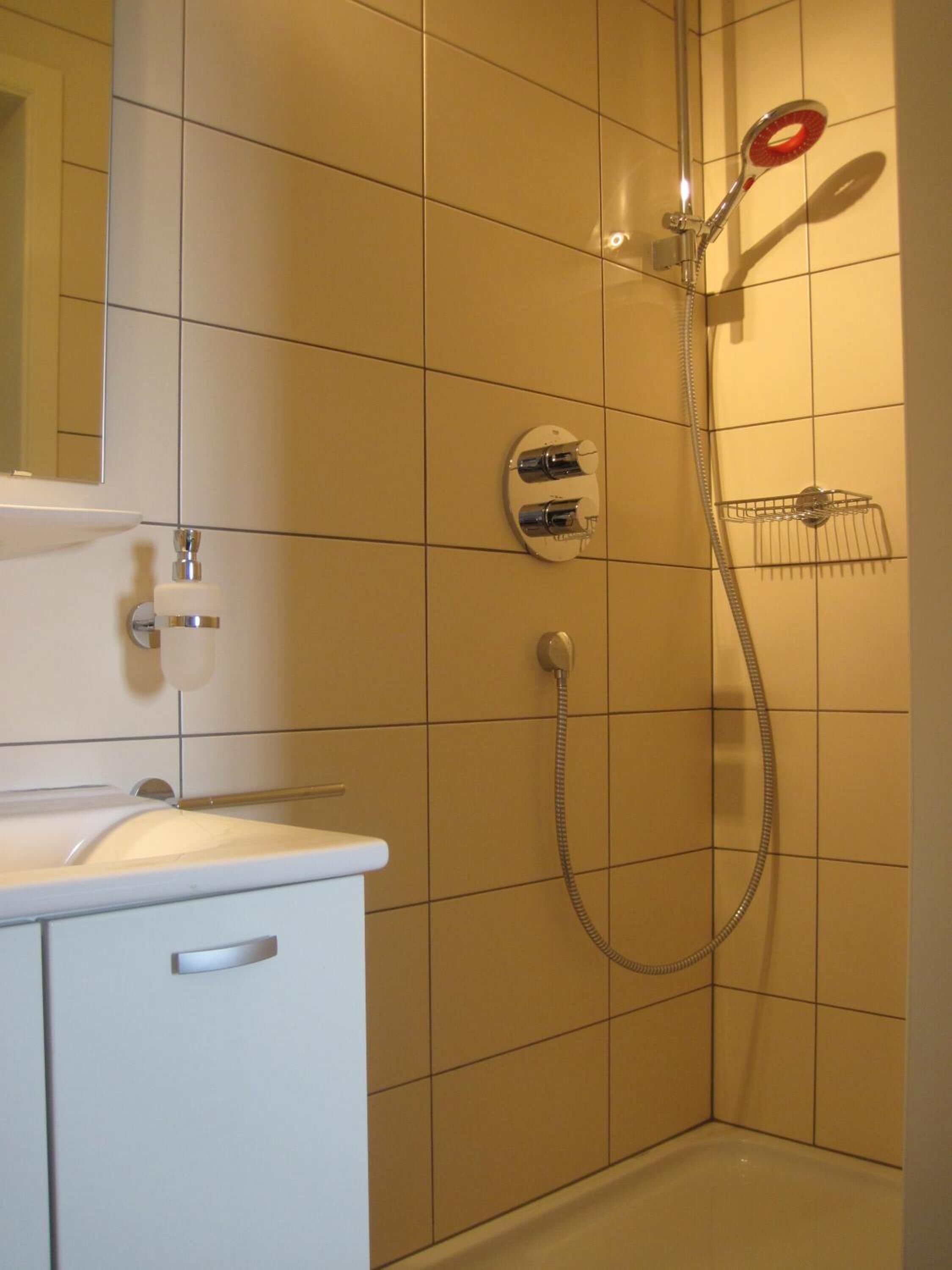 Een badkamer met een douche, een wastafel en een spiegel.