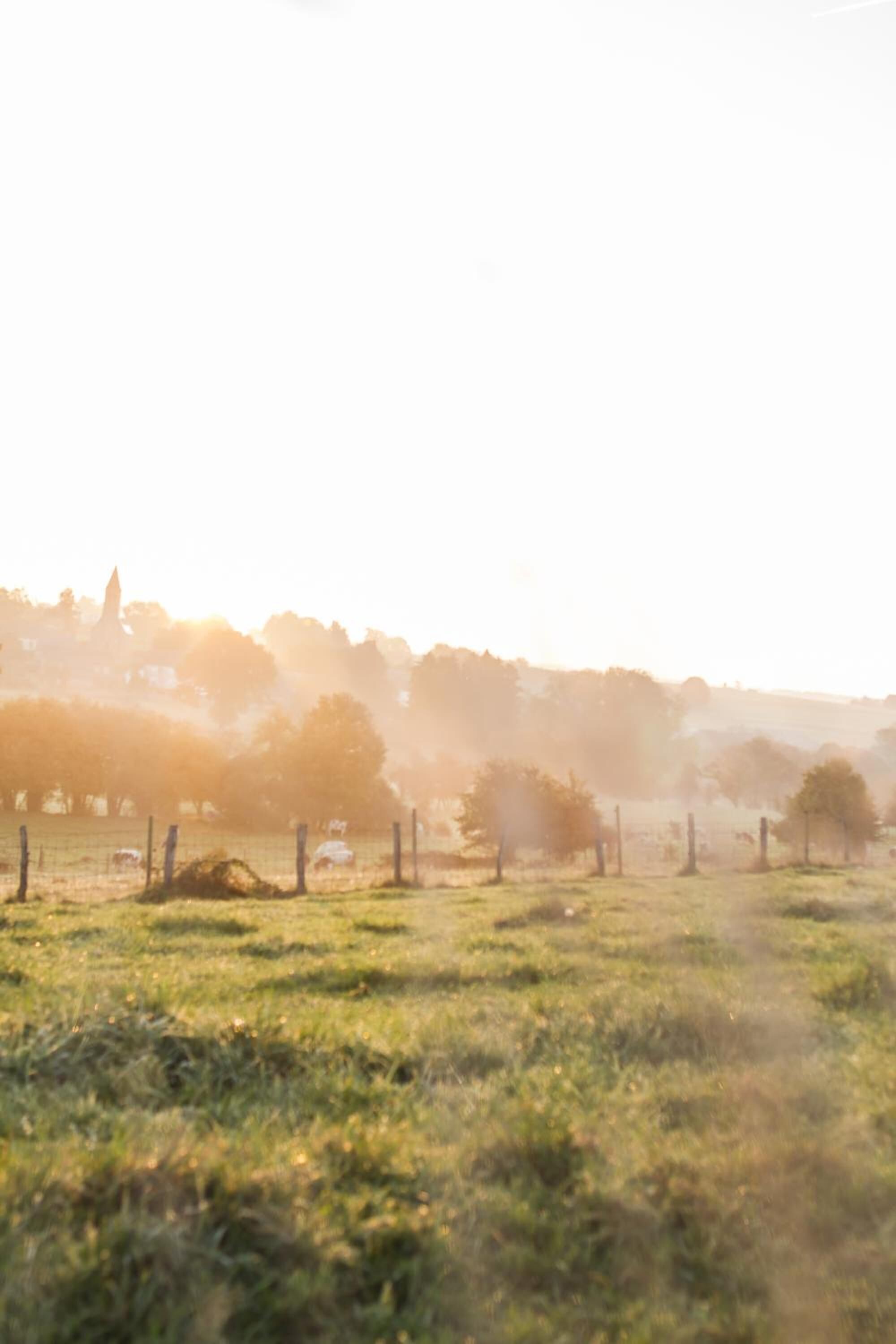A rural landscape with a fence, trees, and a distant building.