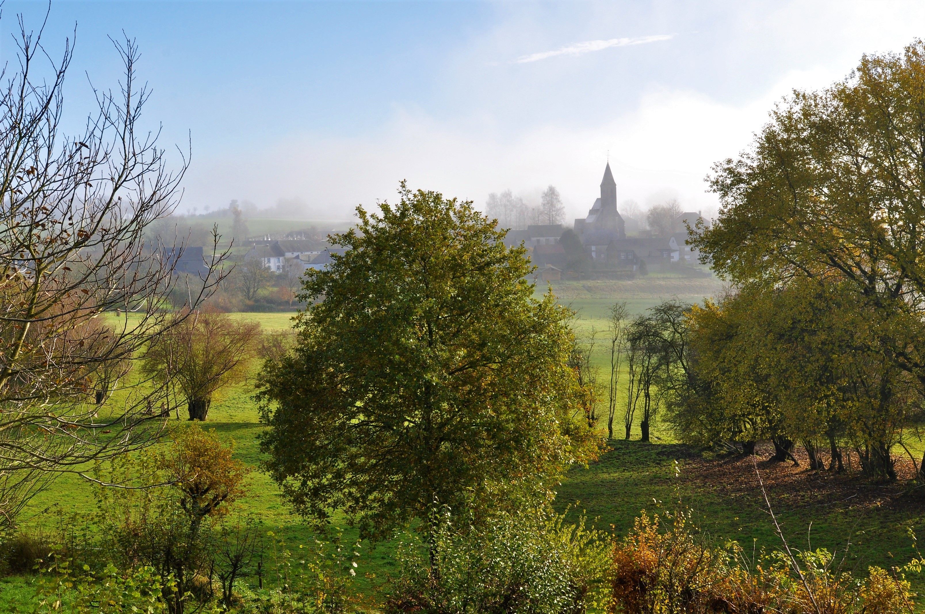 Un paysage rural avec une église à l’horizon, entourée d’arbres et de champs ouverts.