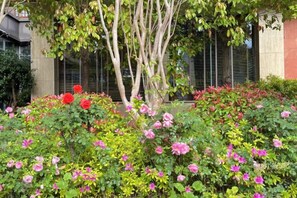A garden with various flowering plants and trees. - Conifer Lishui Sunlight Hotel (Lijiang)