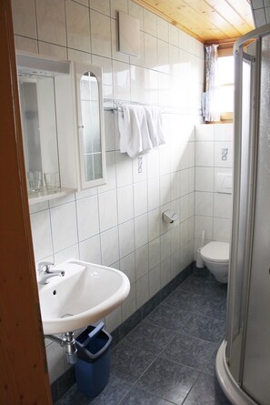 A bathroom with a sink, mirror, toilet, and shower. - Bauernhof Trinkergut (Unternberg)
