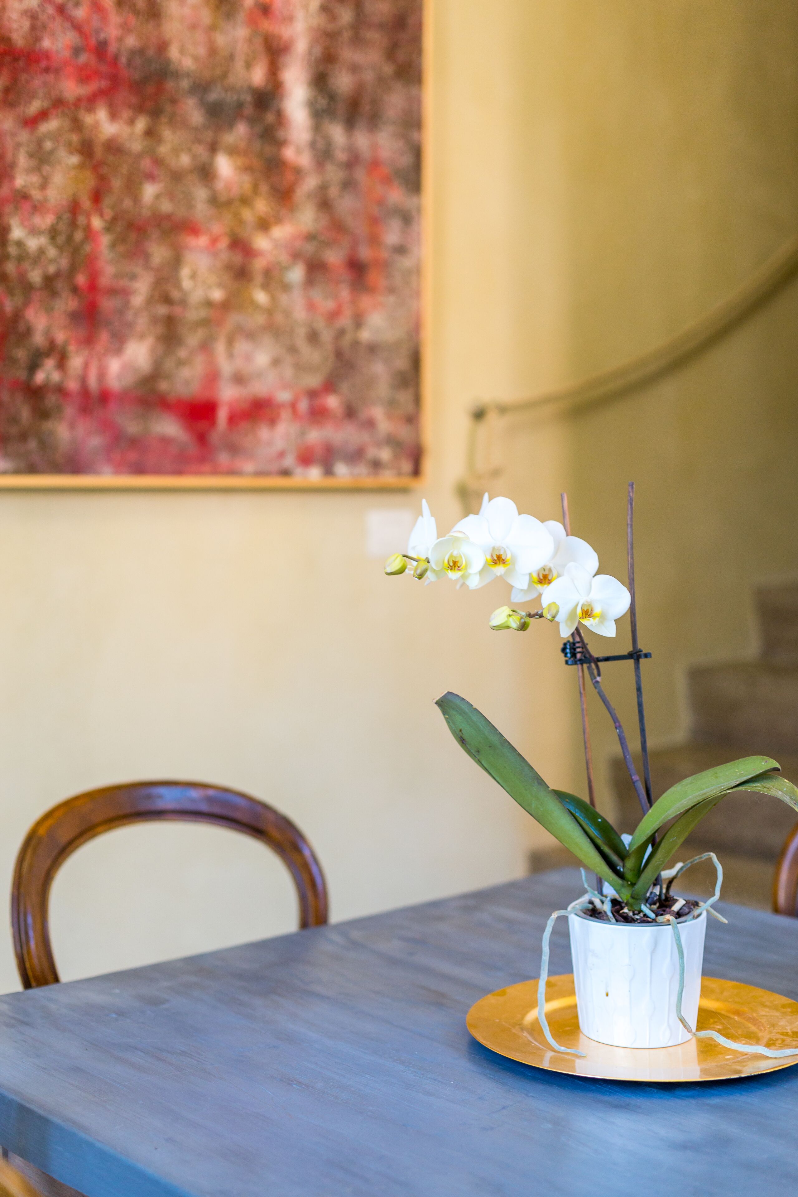 A potted orchid on a table with a blue tablecloth and a gold placemat.