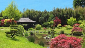 Un jardín japonés tradicional con un pabellón, un estanque y diversas especies de árboles y arbustos.