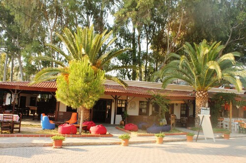 Medusa Bar & Camping - Hostel