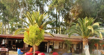 Medusa Bar & Camping - Hostel
