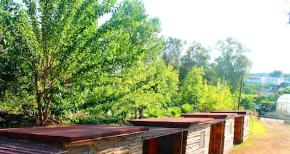 Medusa Bar & Camping - Hostel