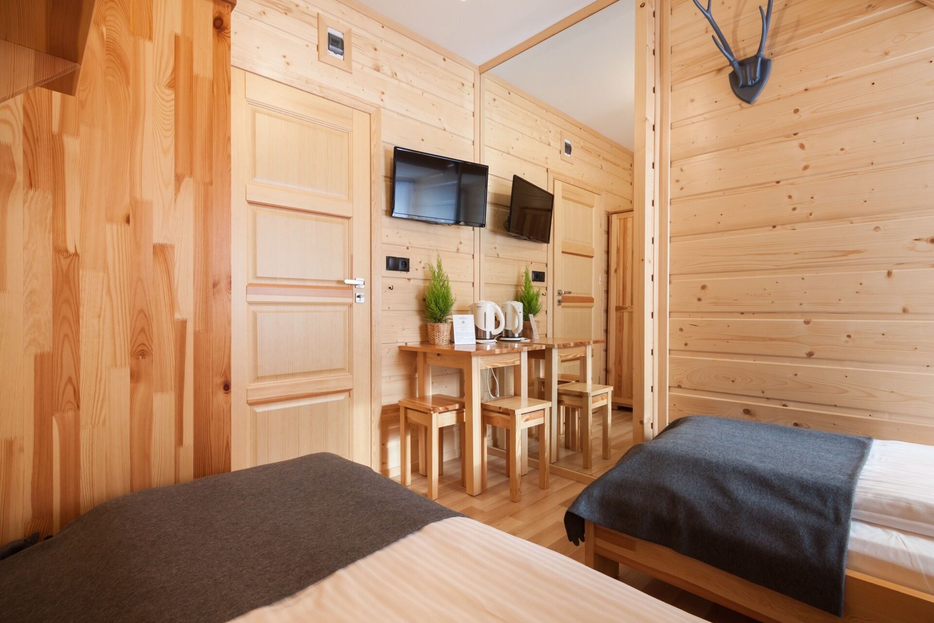Een houten kamer met twee bedden, een televisie, een klein tafeltje met planten en een waterkoker.