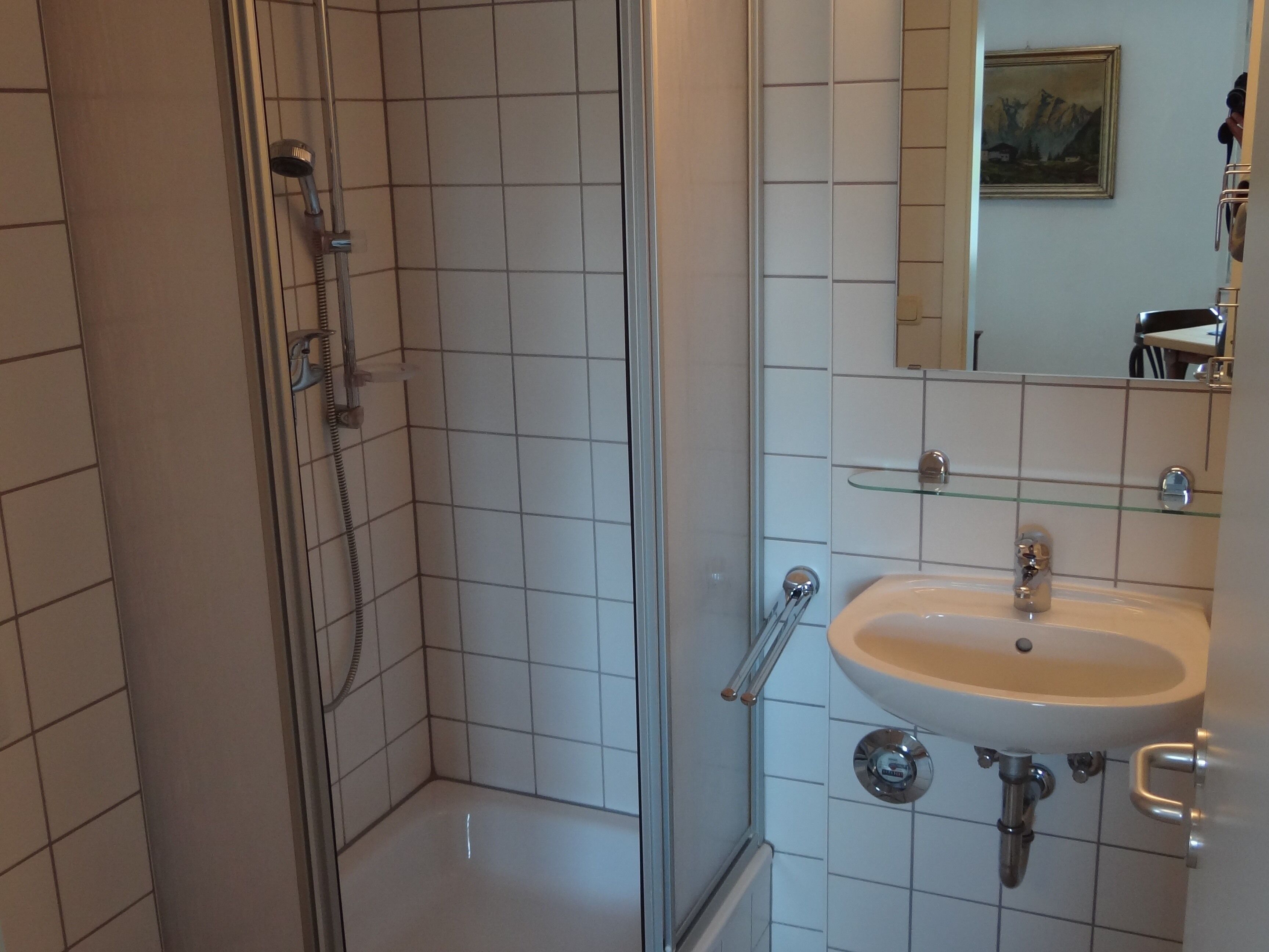 A modern bathroom with a glass shower enclosure, a white sink with chrome fixtures, and a mirror above the sink.