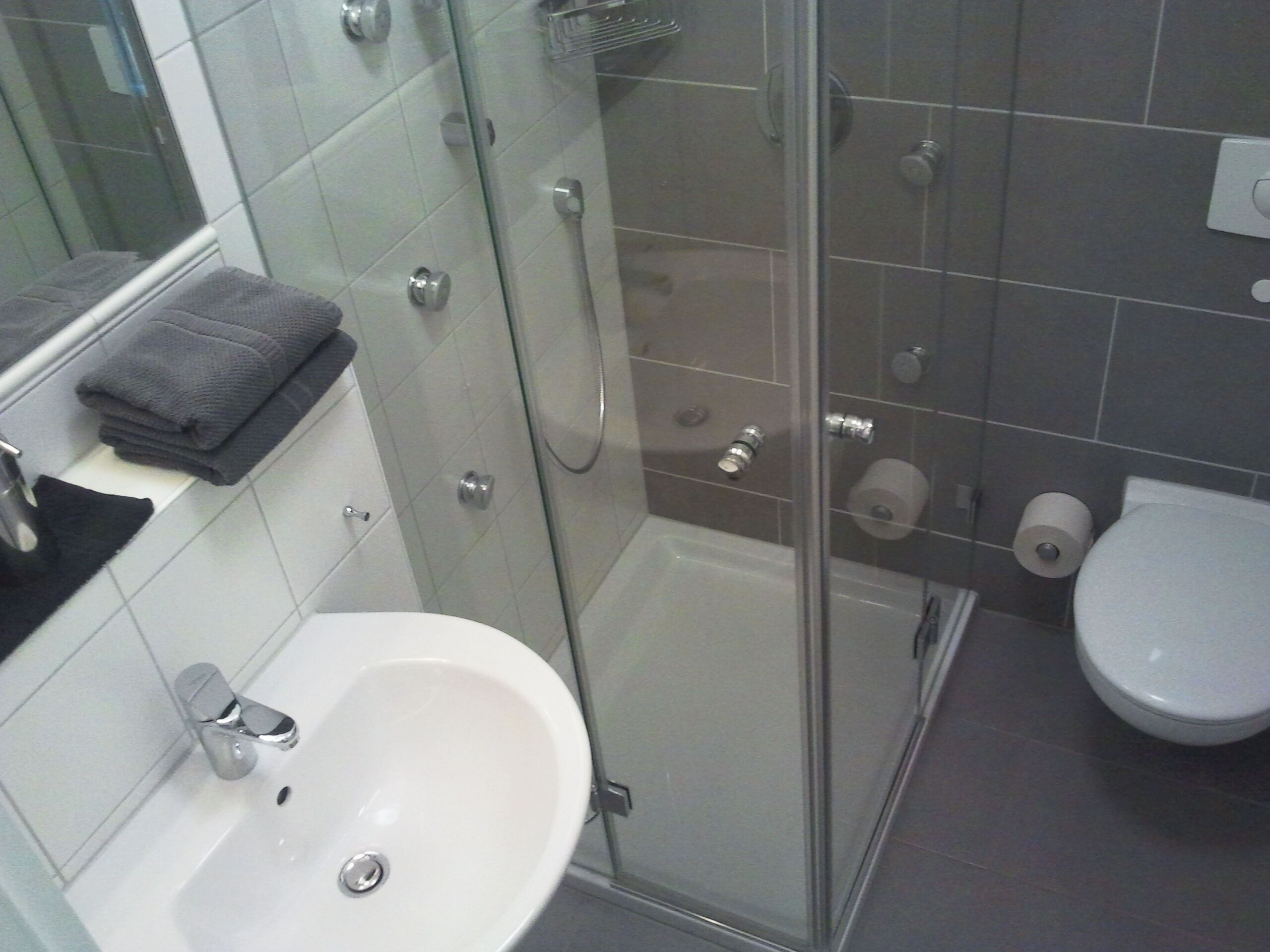 Ein Badezimmer mit einer Duschkabine, einem weißen Waschbecken und einer Toilette.
