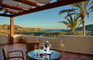 Suite Deluxe | Terraza o patio