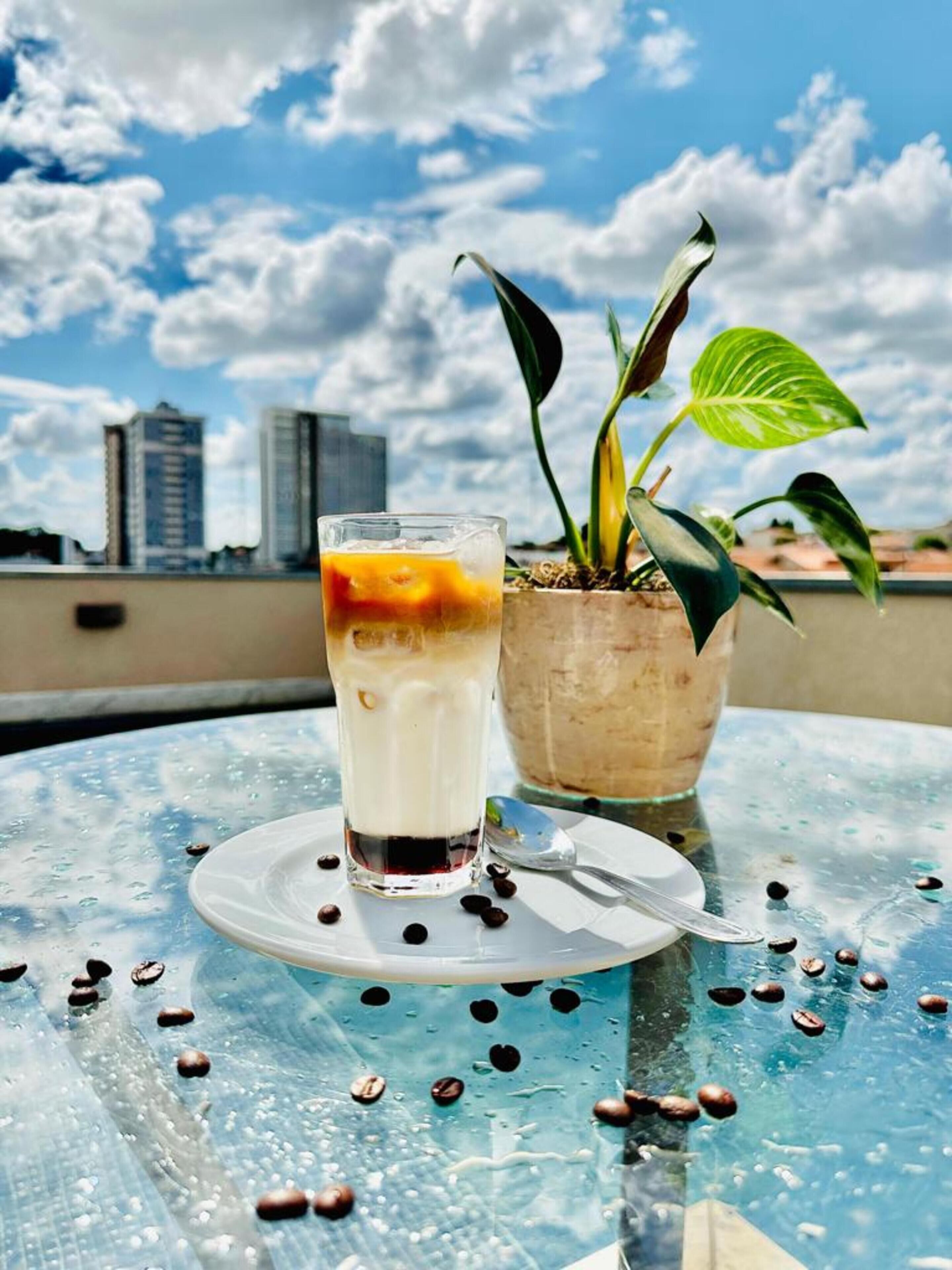 lunch and dinner served