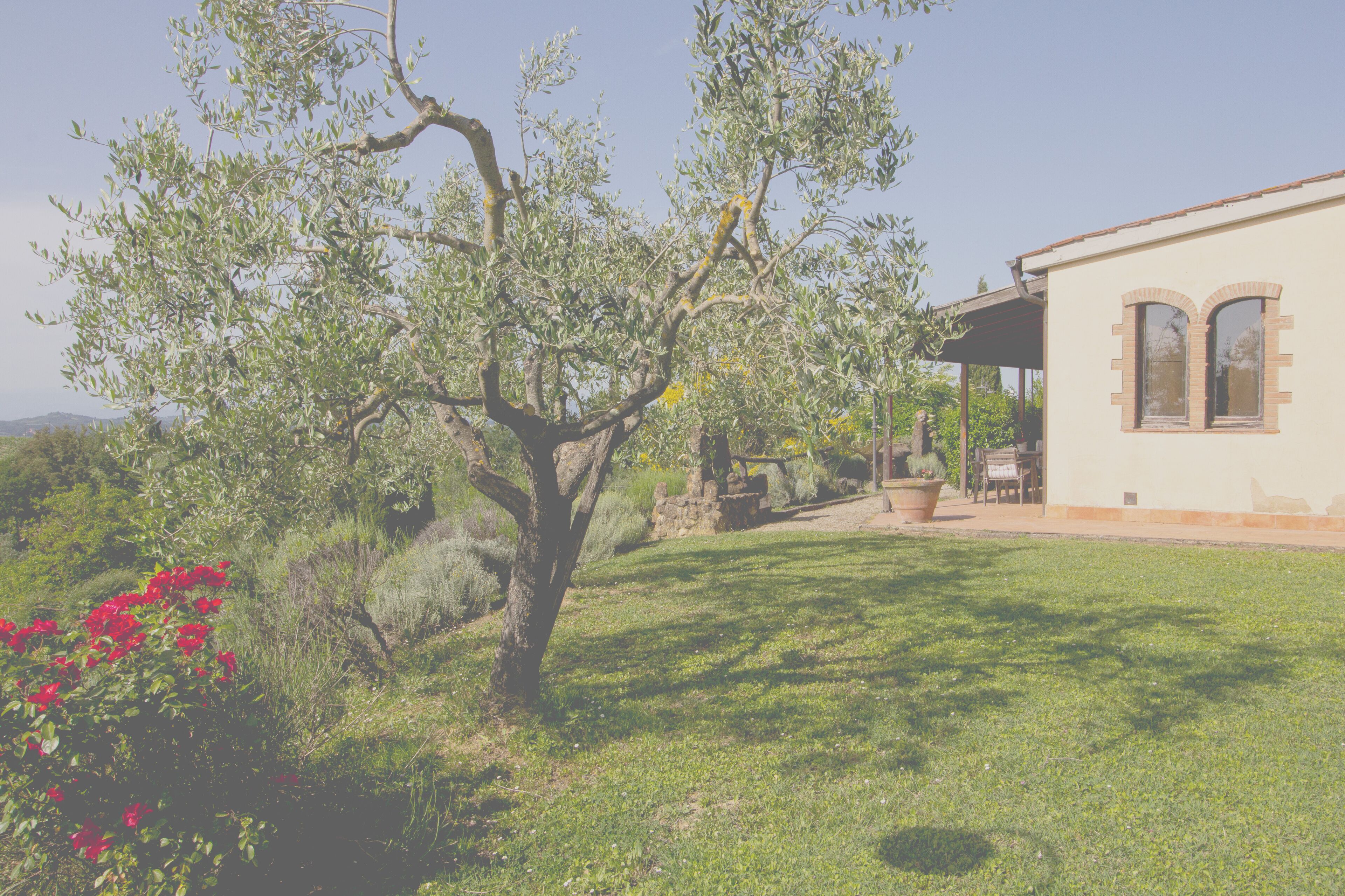 Ein Haus mit Garten, Baum und blauem Himmel.