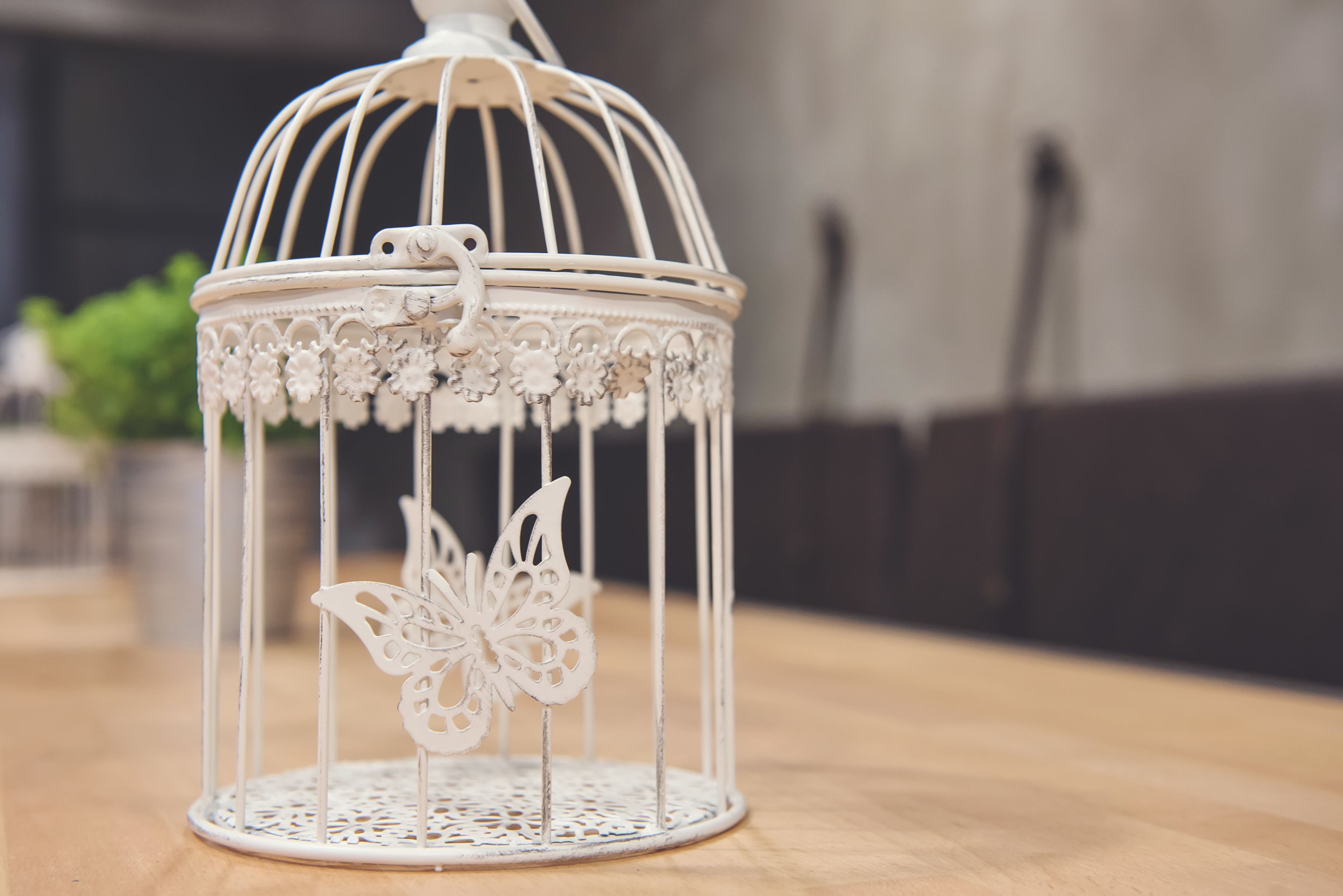 Une cage à oiseaux en métal blanc, ornée d’un papillon suspendu, posée sur une surface en bois.