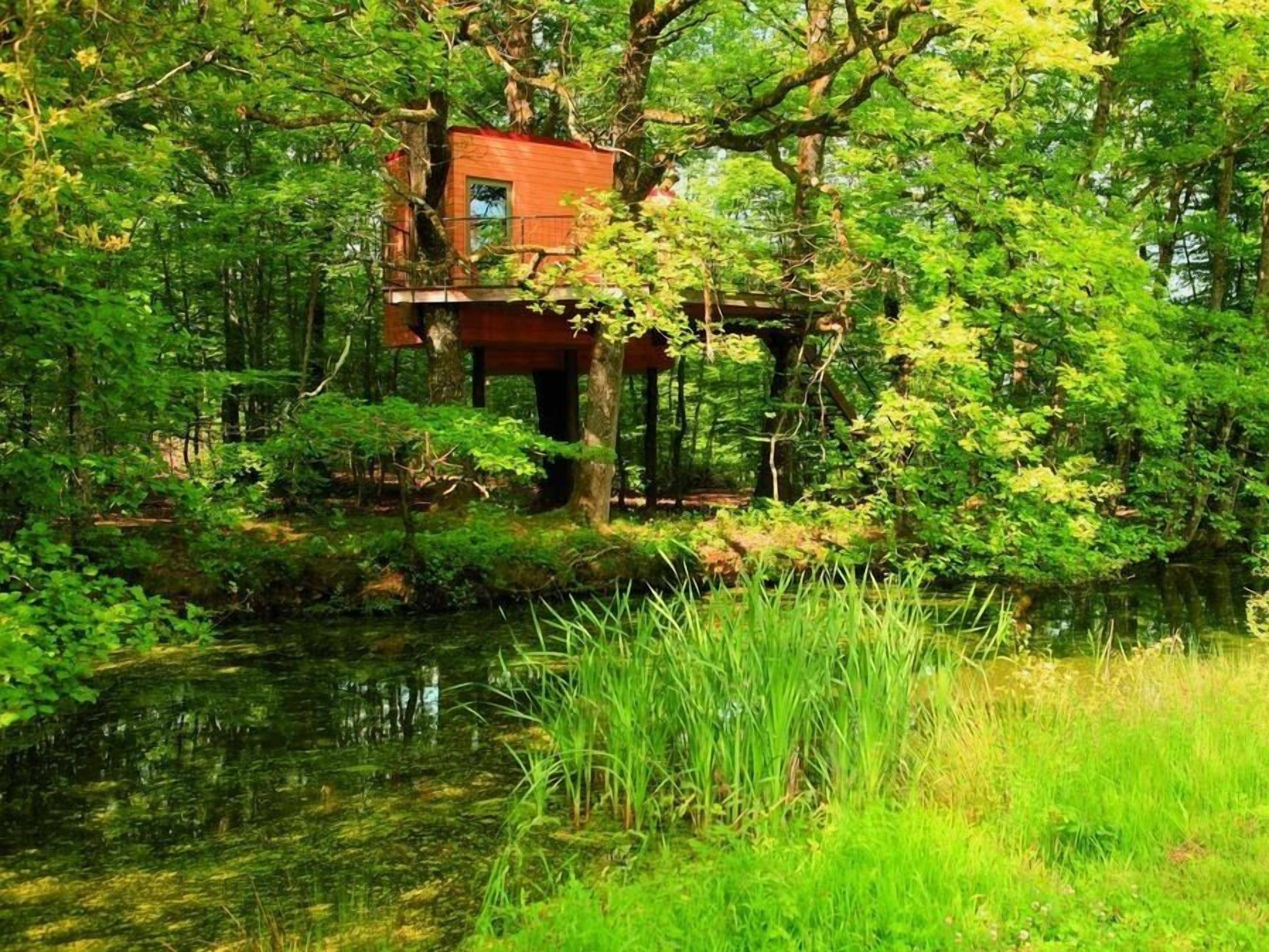 Una casetta su un albero, costruita su un tronco, immersa nel verde e con un'acqua calma.