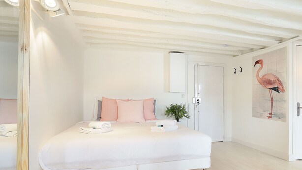 A bedroom with a large bed, a mirror, a door with a flamingo painting, and a small plant on the bed. - The Sea Gypsy (Wildwood)
